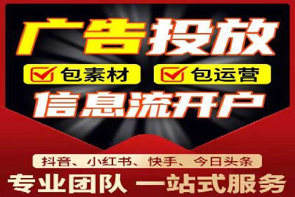 谷歌竞价广告与SEO结合的营销案例解析